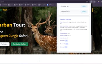 SEO Checklist | On-Page SEO Analyzer gallery image