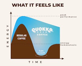 Quokka Brew Cereal Milk Latte gallery image