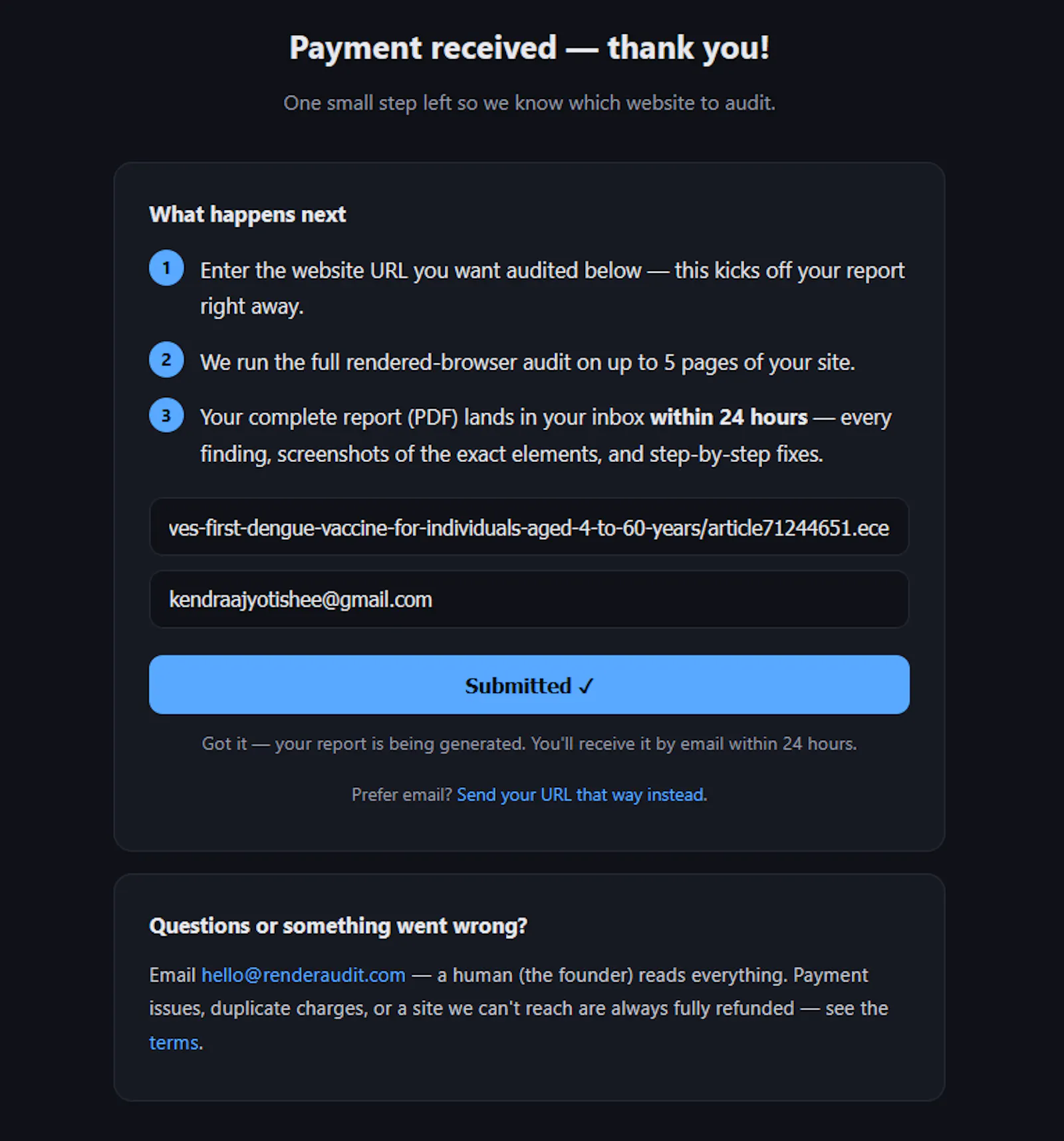 RenderAudit screenshot 4