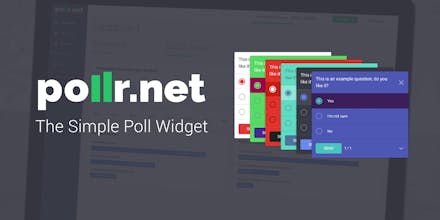 Pollr.net gallery image