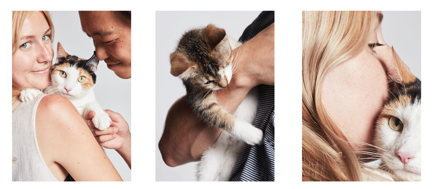 Smalls: Food for Cats gallery image