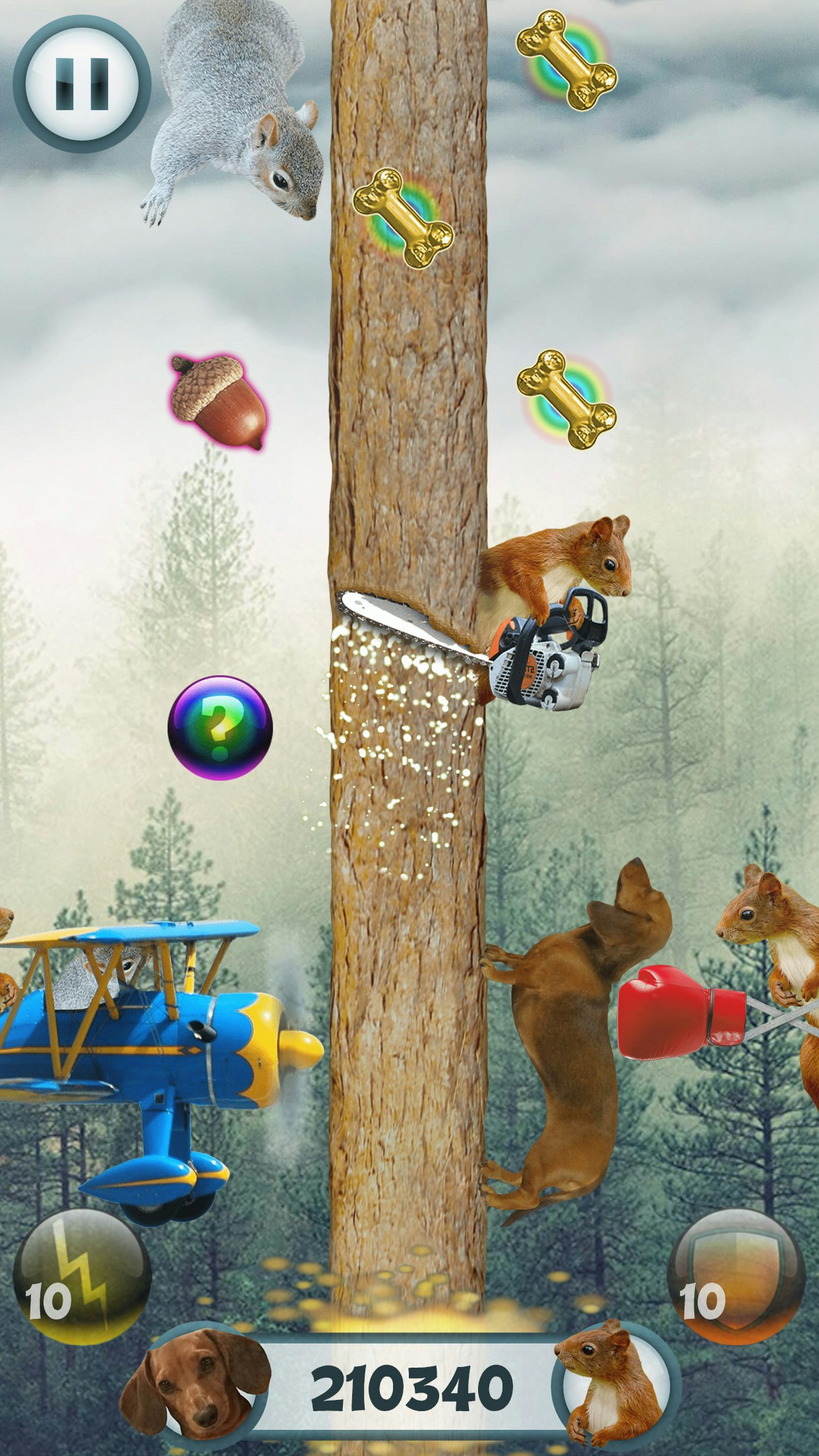 Wild Wiener! gallery image