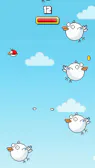 Bolo Bird
