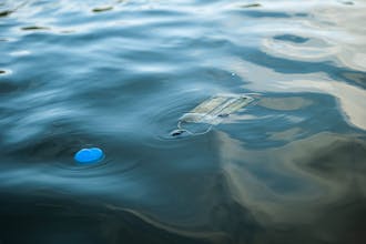 Plastic Tracker gallery image