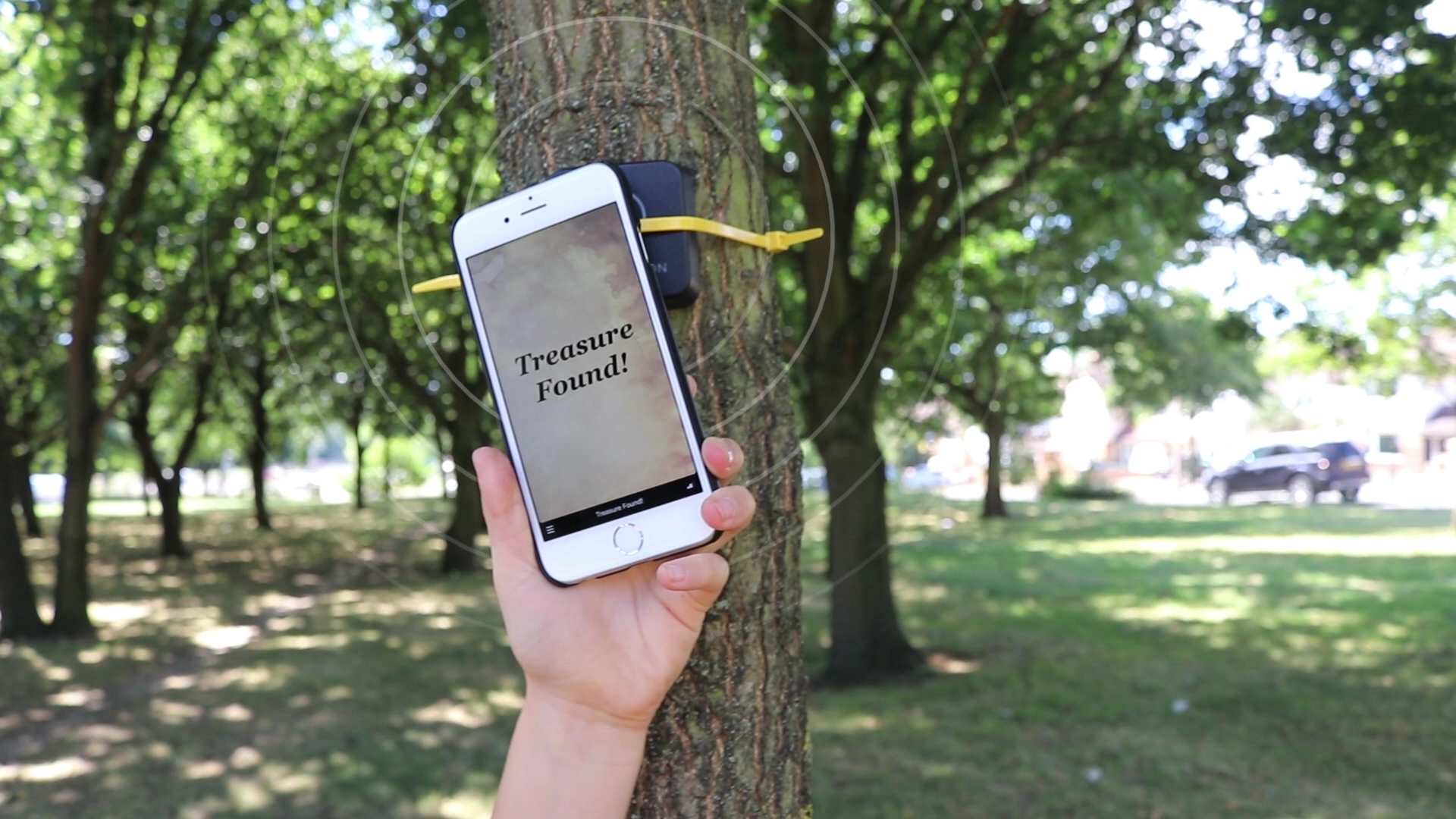 Live Beacon gallery image