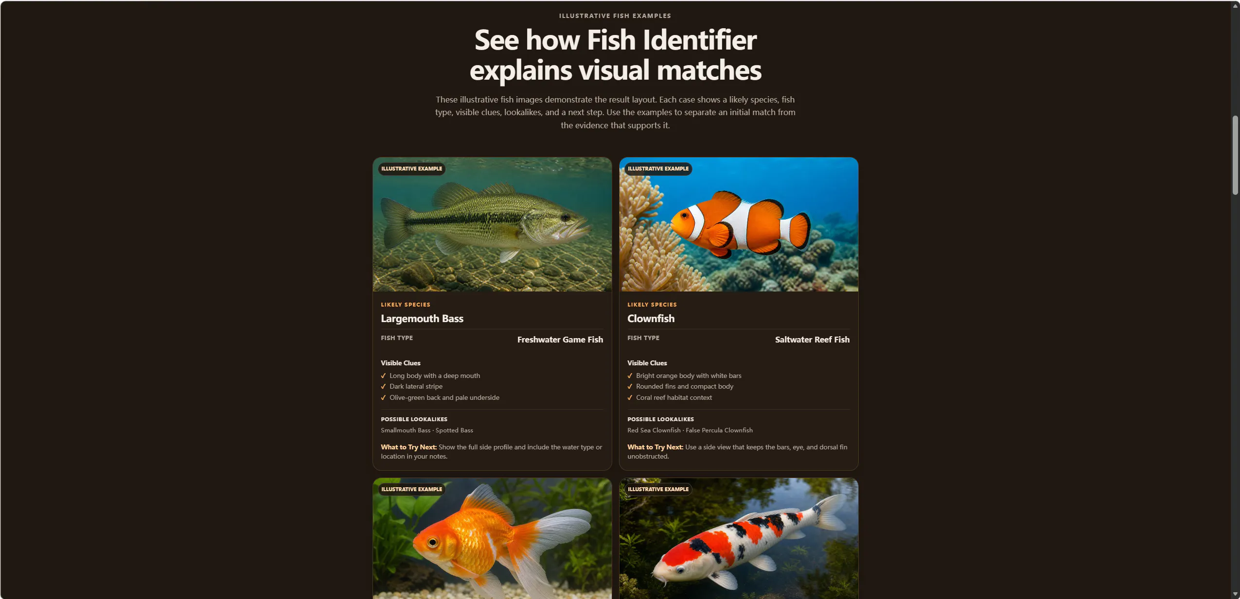 Fish Identifier gallery image