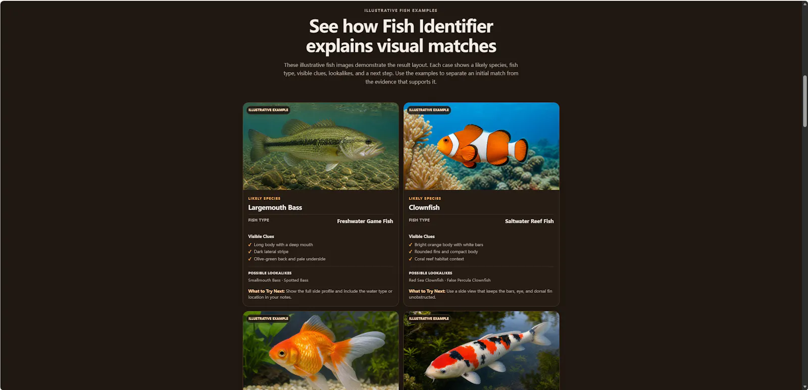 Fish Identifier screenshot 2