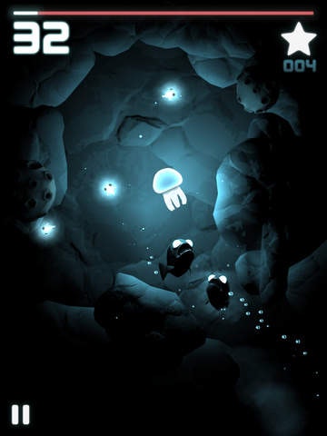 Seashine gallery image