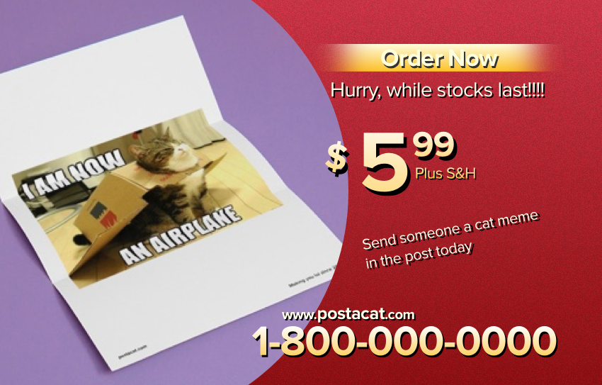 Post a Cat gallery image