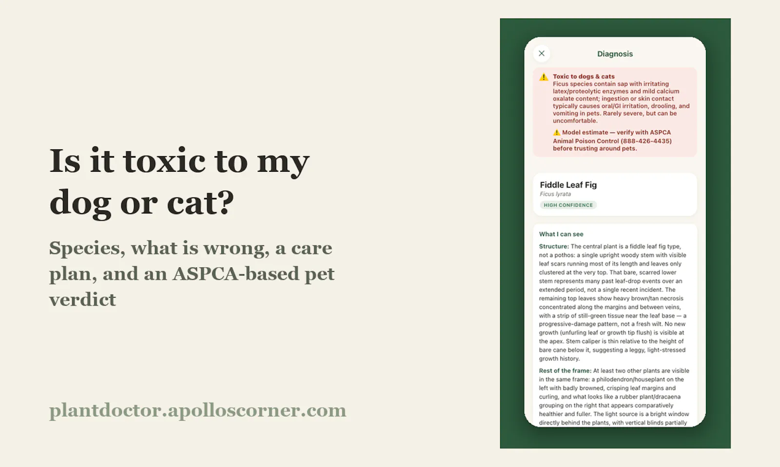 Plant Doctor screenshot 2
