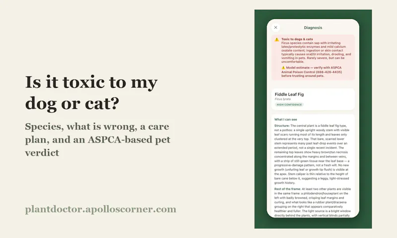 Plant Doctor screenshot 2