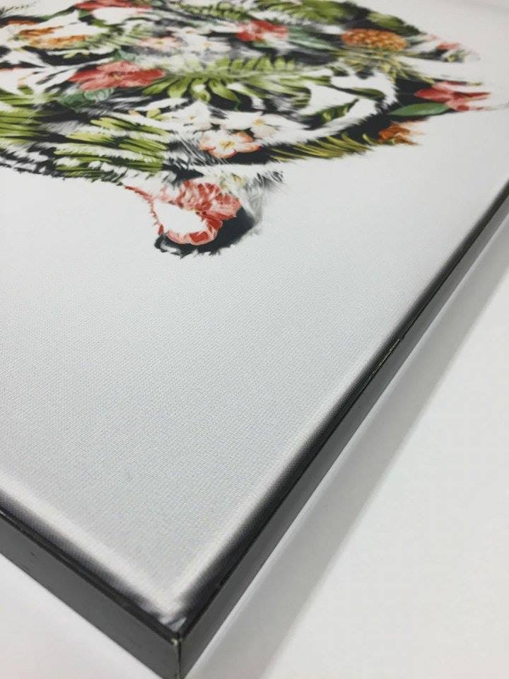 MyPixwap Box gallery image