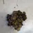 love spell caster in new york mamelodi