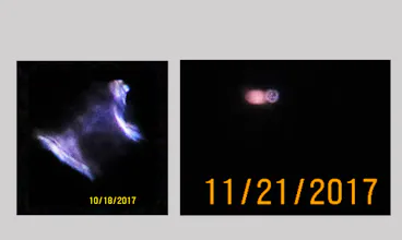 Reverse Engineering the UFO Mindset gallery image