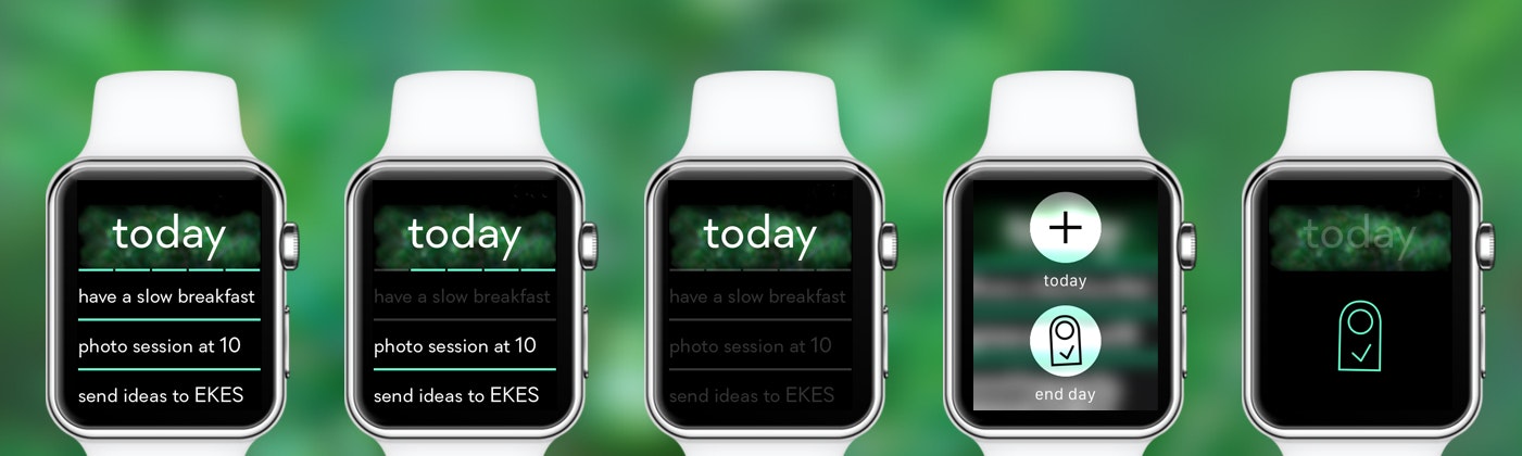 daily 2 gallery image