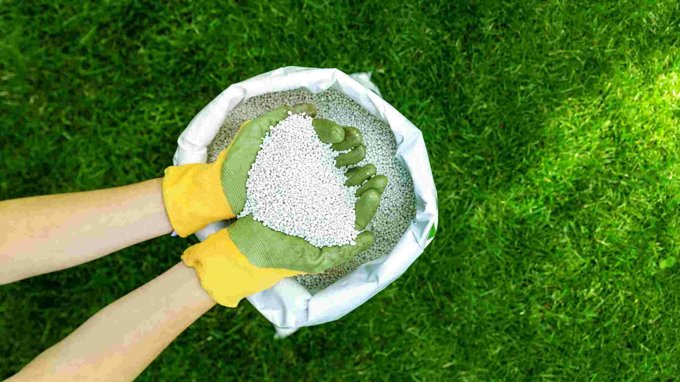 Lawn Fertilizer Calculator media 3