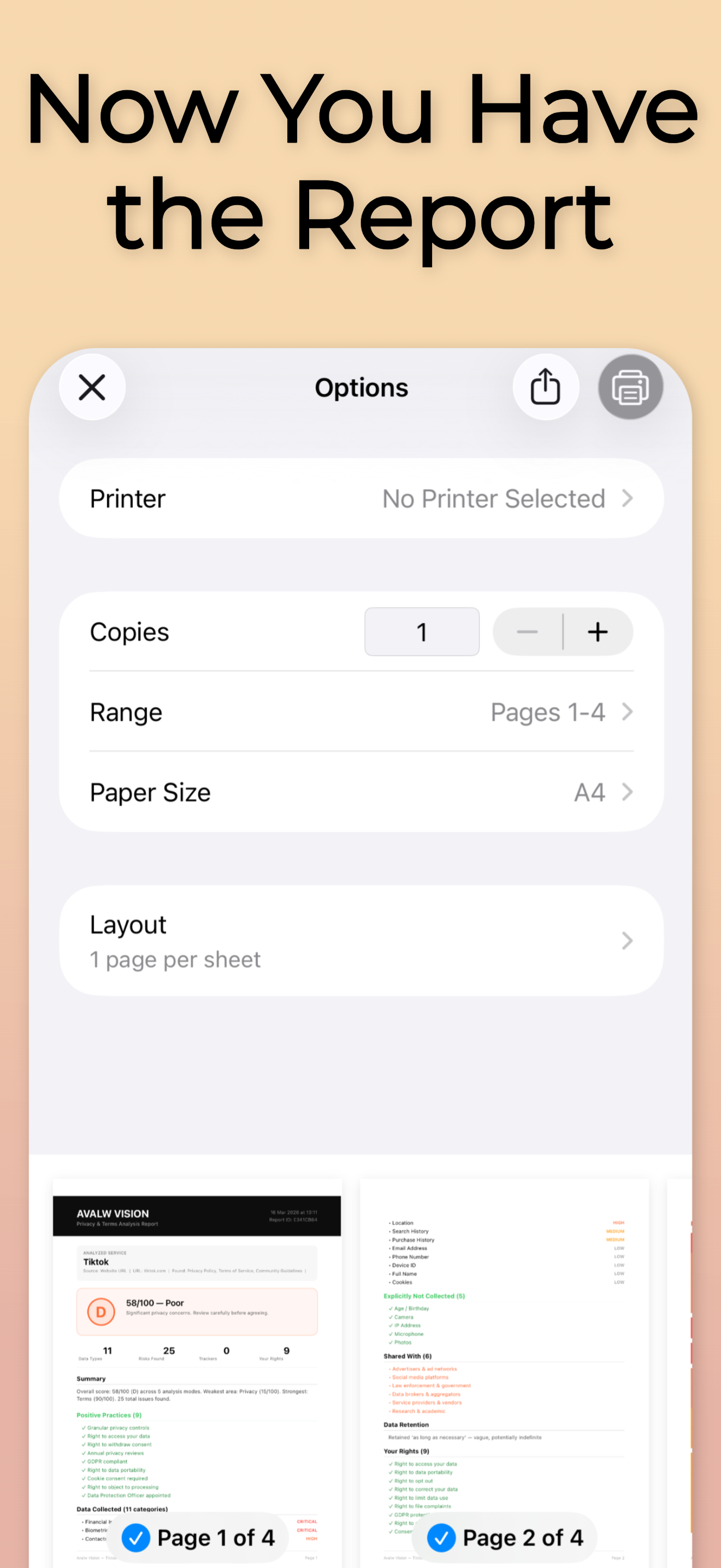 Avalw Vision — Privacy & Terms Scanner gallery image