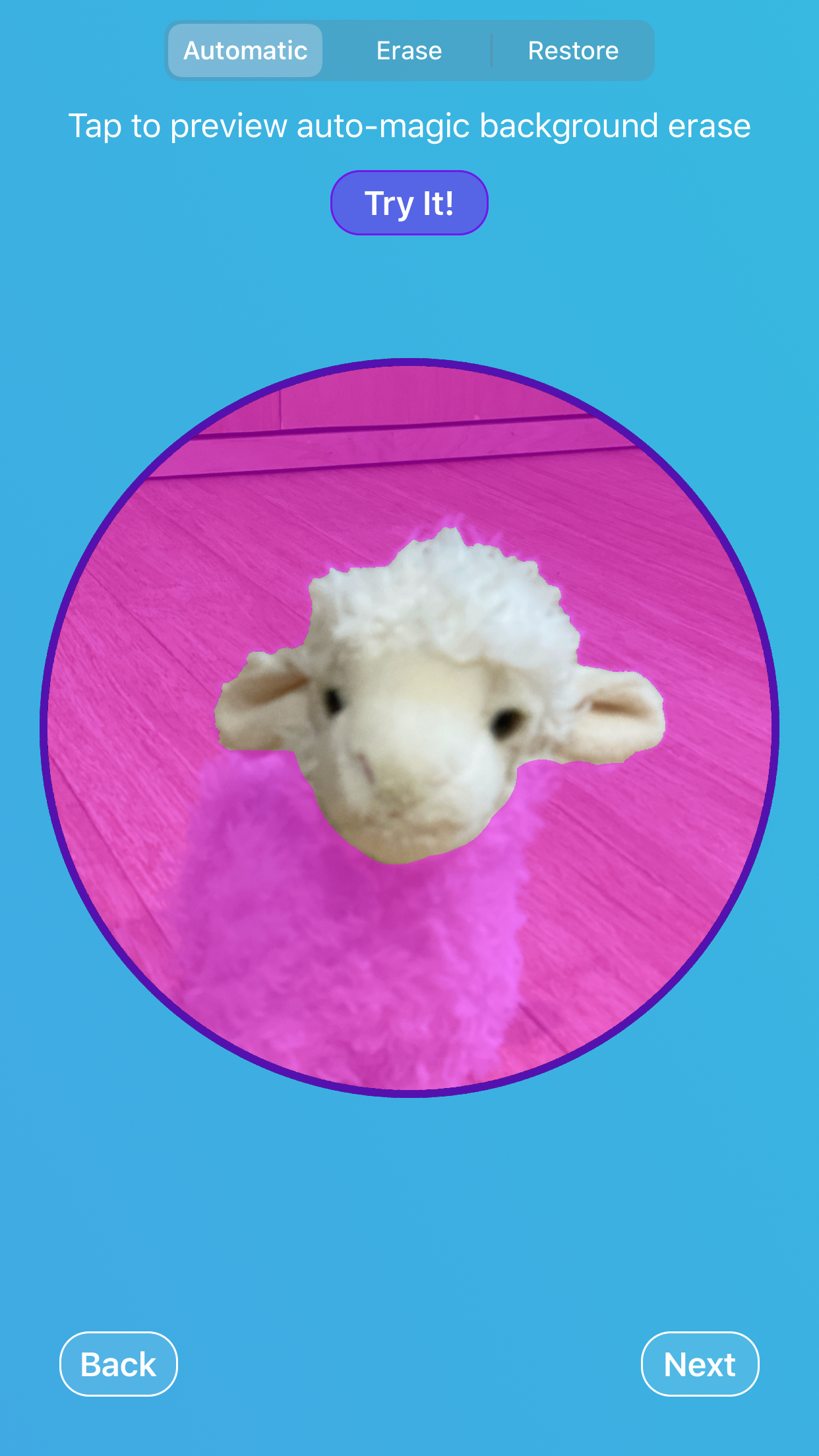 FaceReplaced gallery image