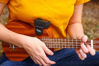 Roadie Coach gallery image