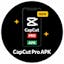 capcut pro mod apk