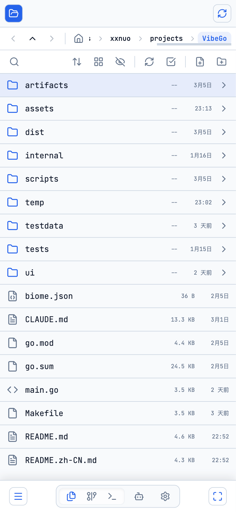 VibeGo gallery image