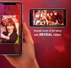 Firework gallery image