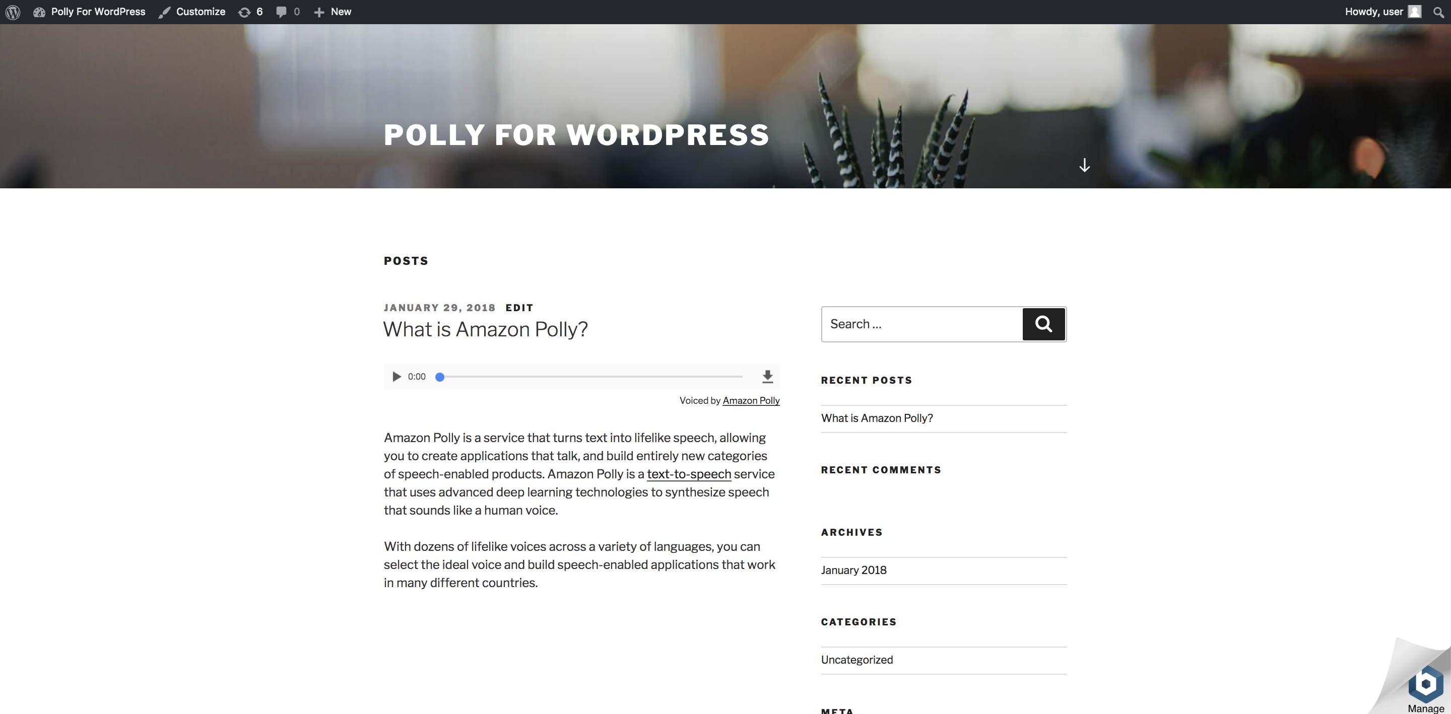 AWS for WordPress Image