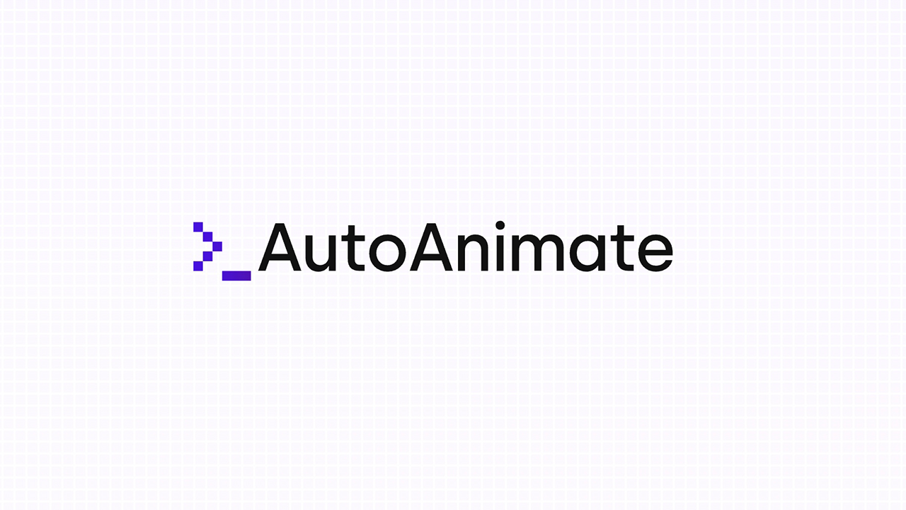 autoanimate gallery image