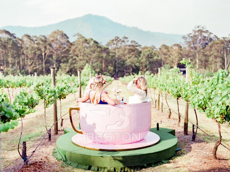 Beston theme park rides for Sale