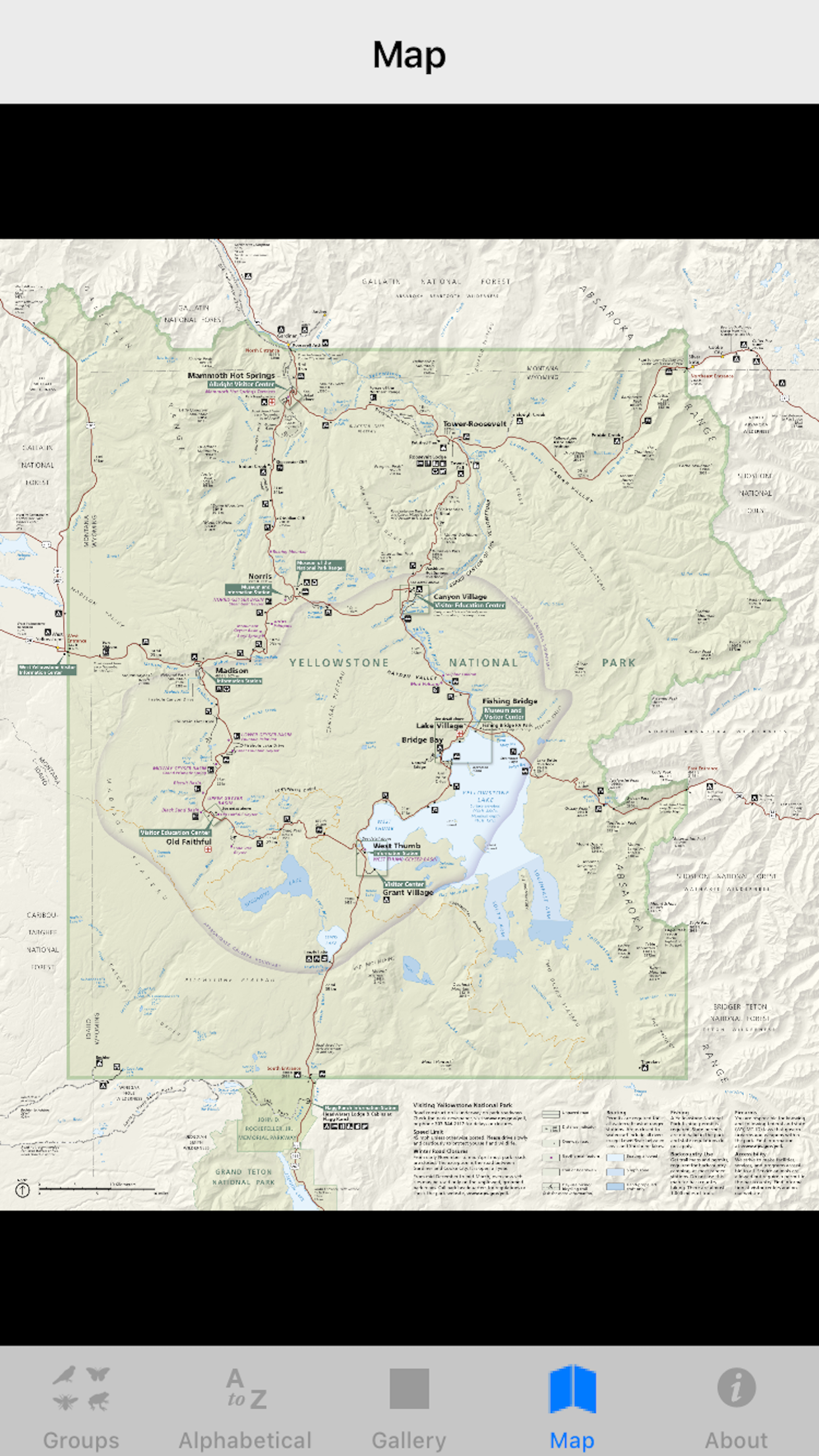 Yellowstone NP Field Guide gallery image