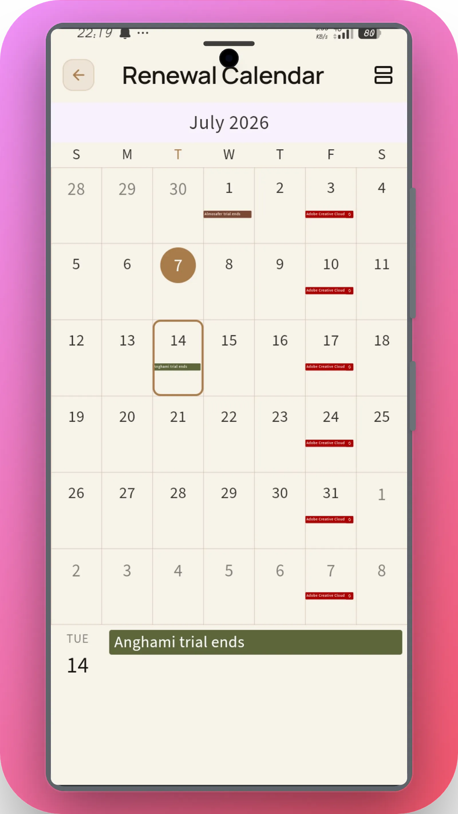 SubSense Pro screenshot 2