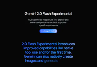 Gemini 2.0 Flash gallery image