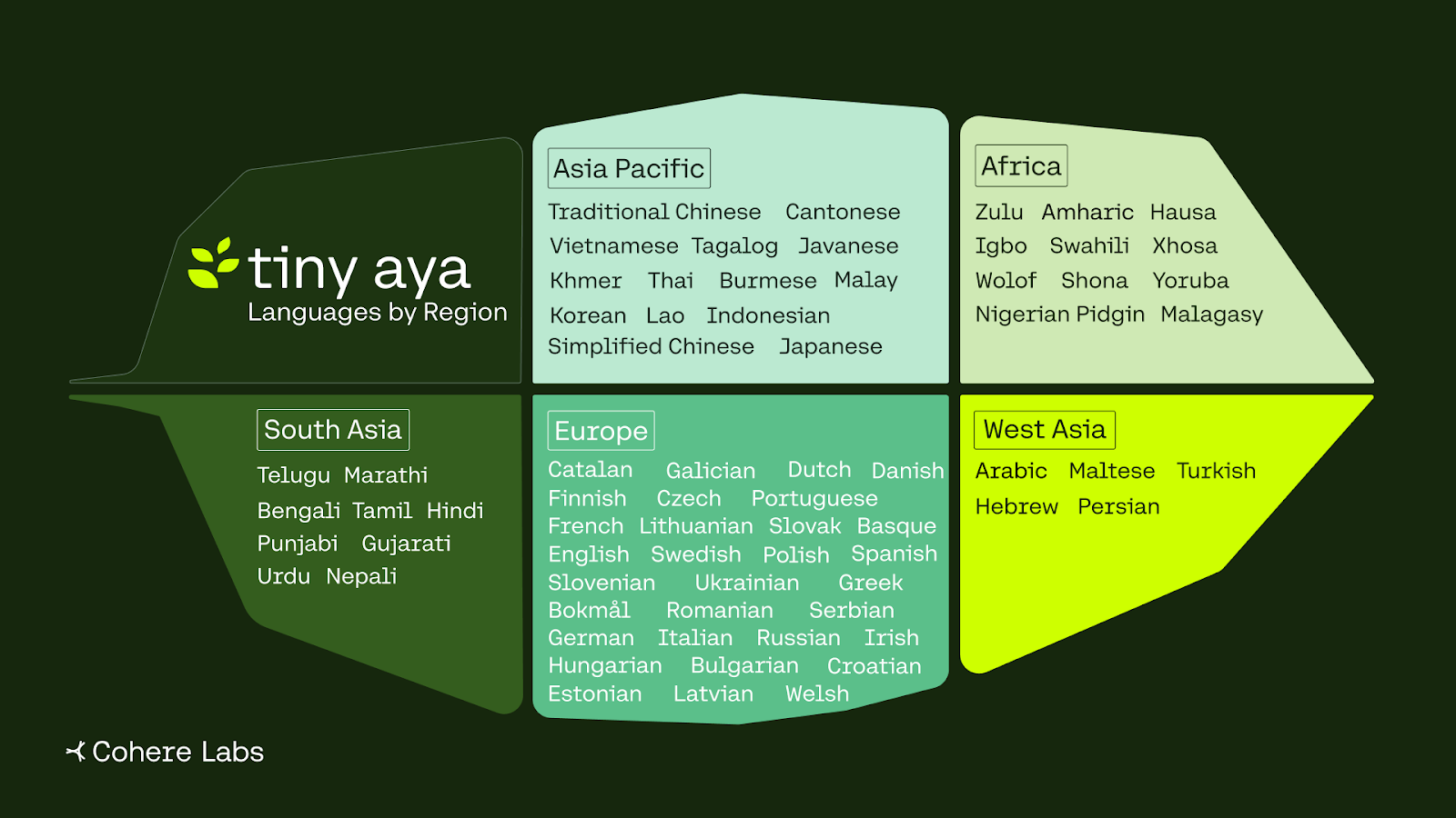 Tiny Aya gallery image