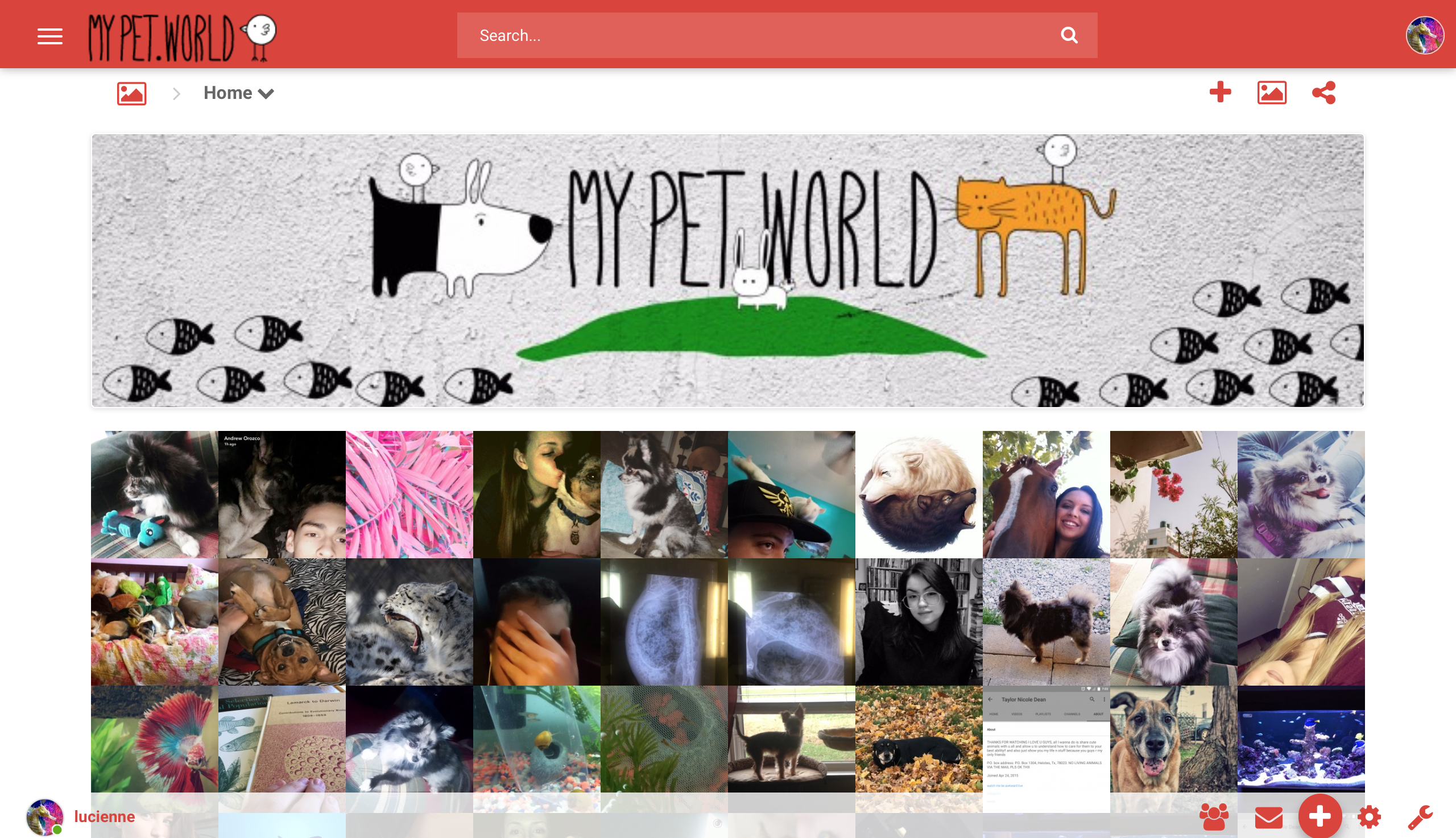My Pet World gallery image