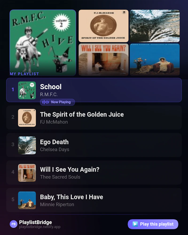 PlaylistBridge screenshot 3
