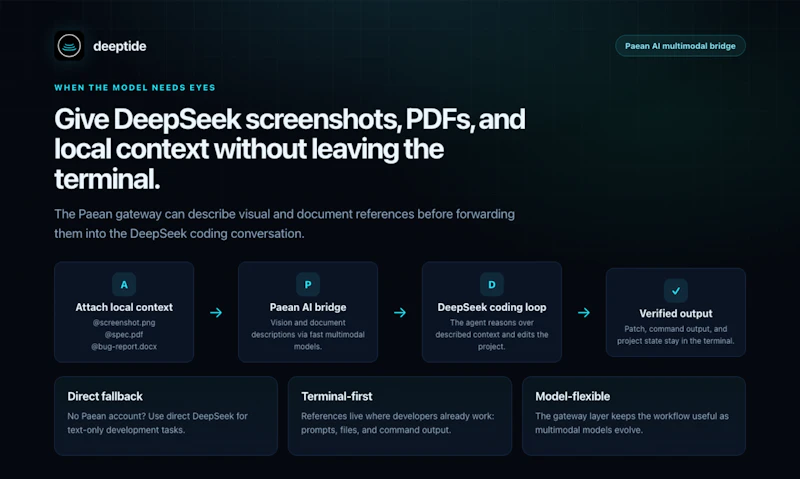 Deeptide -A Native DeepSeek Coding Agent screenshot 2