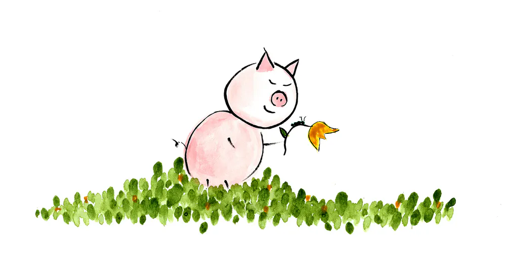 Zen Pig
