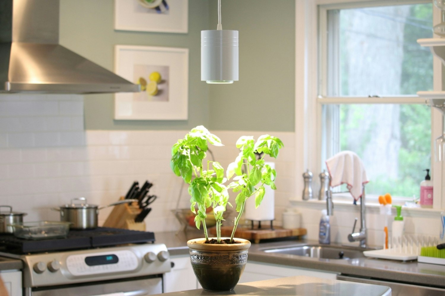 The Aspect gallery image