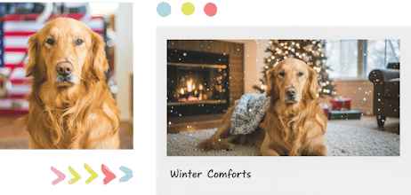 Imagable AI gallery image