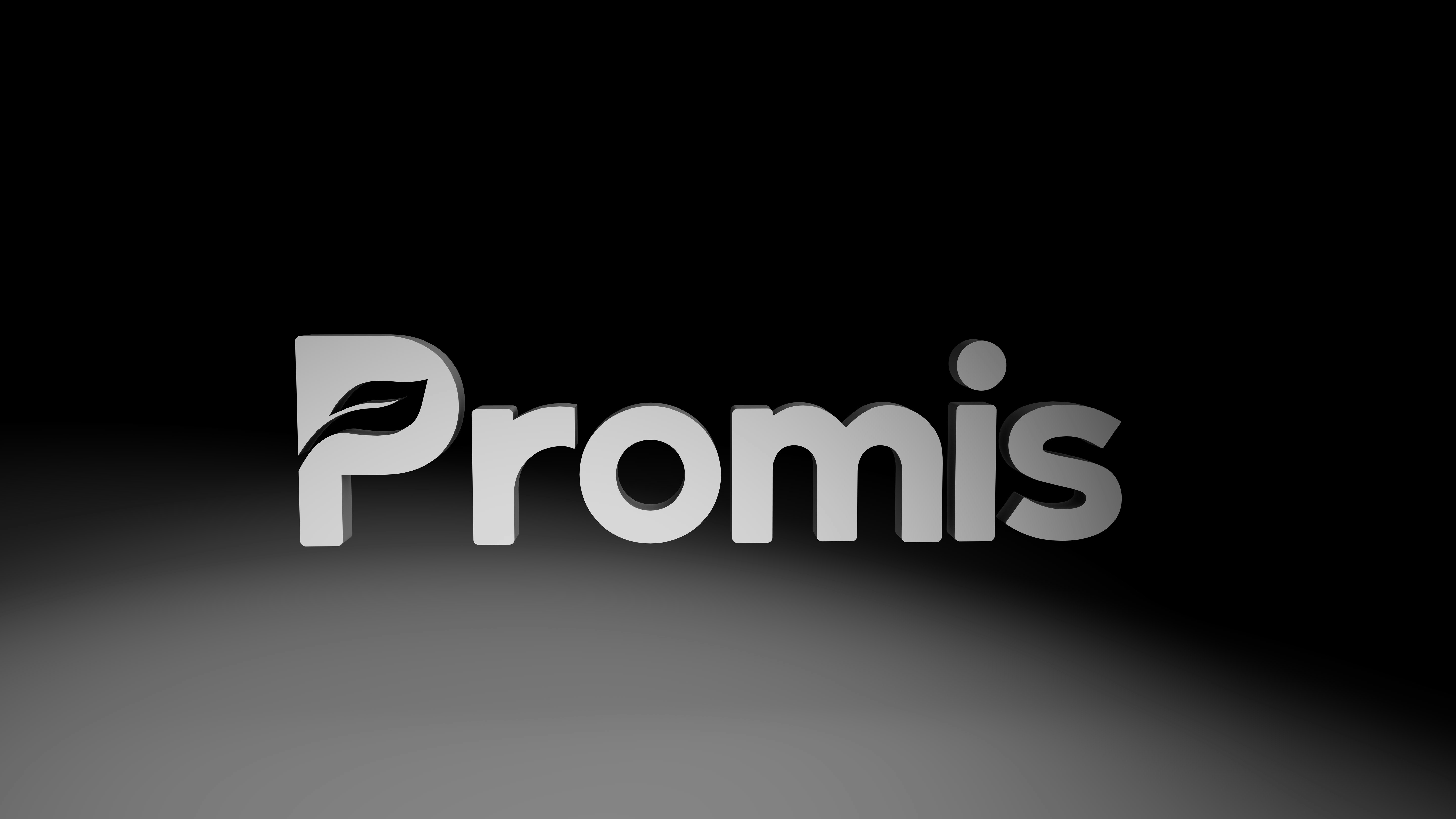 Promis gallery image