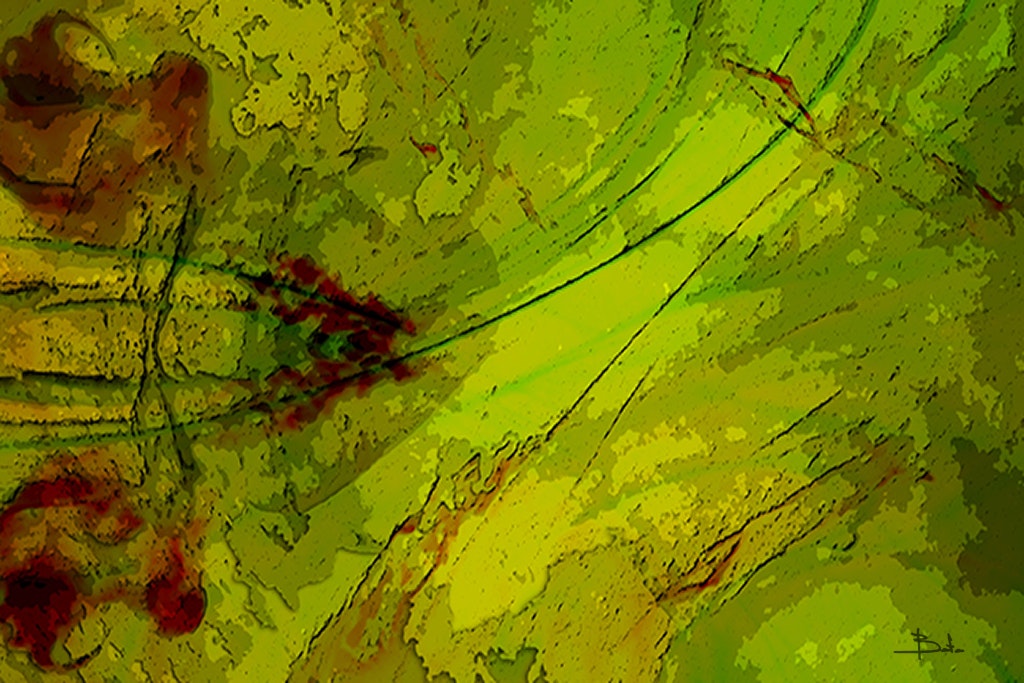 BUYBYCOUNTRY (PTY) LTD gallery image