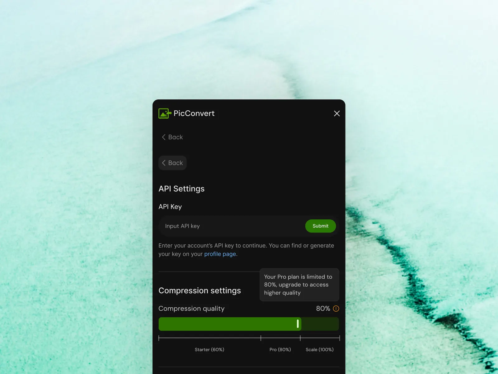 PicConvert gallery image