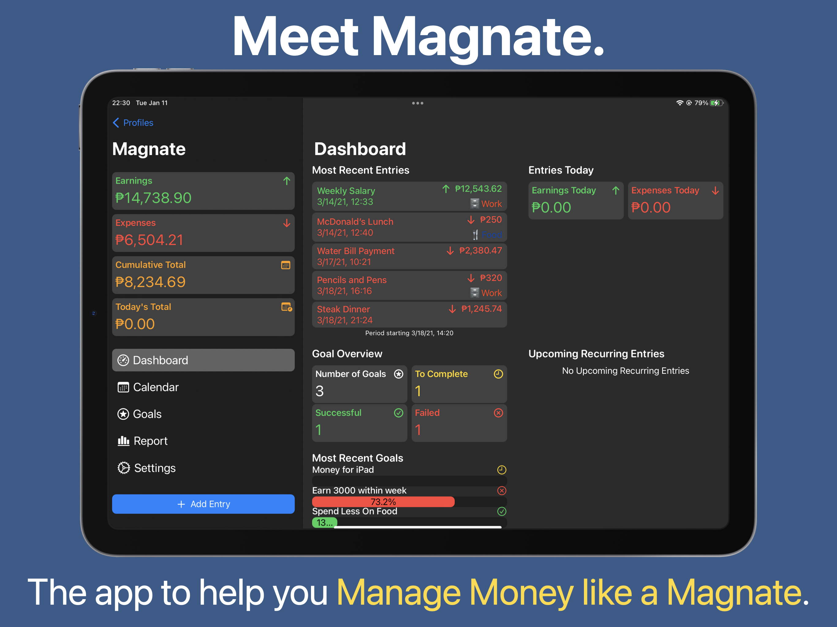 Magnate gallery image