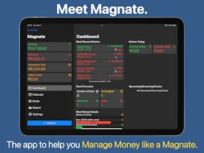 Magnate gallery image