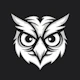 OpenOwl