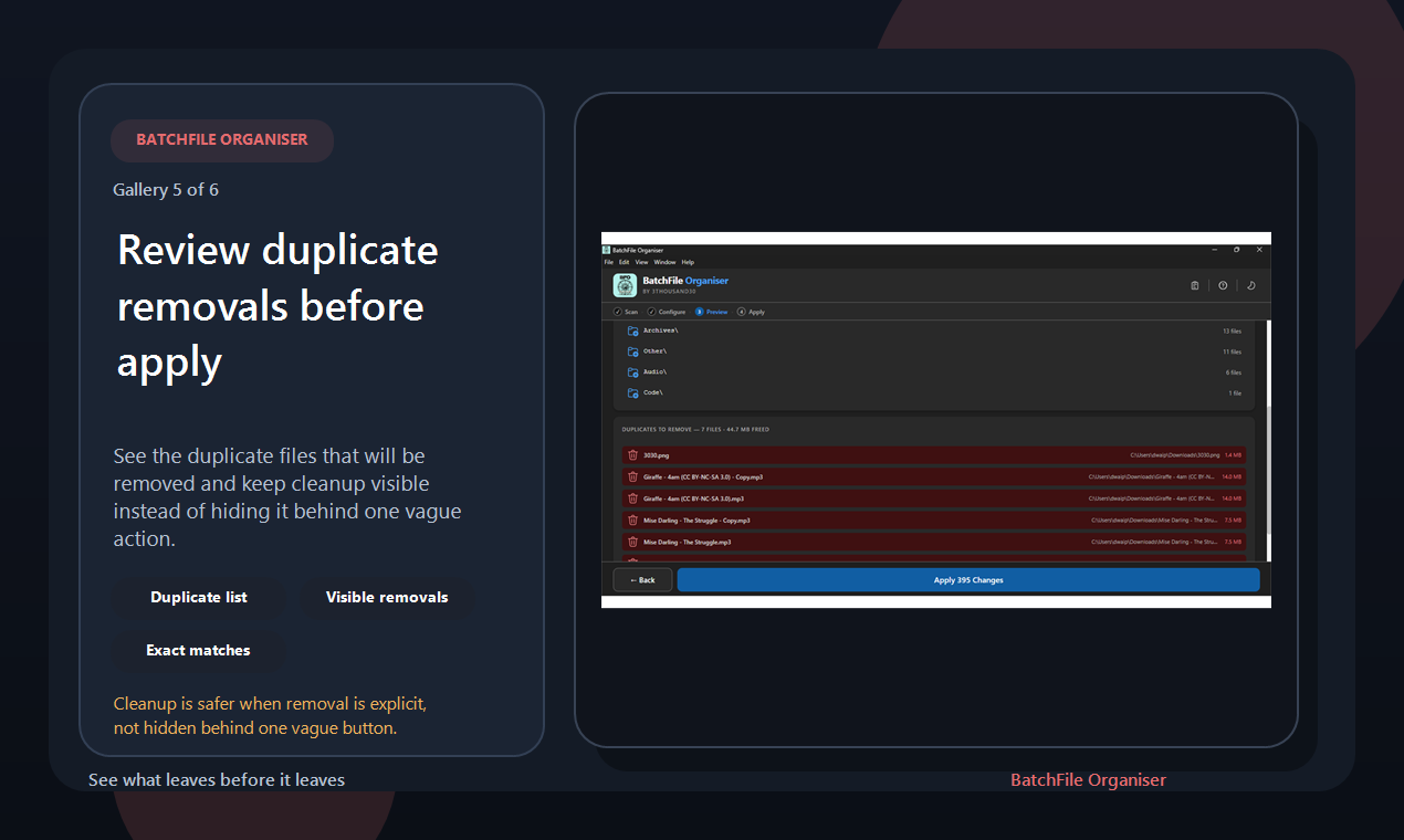 BatchFile Organiser gallery image