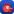 DumbChicken