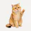 CatPaw Quick Clean