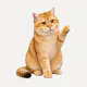 CatPaw Quick Clean
