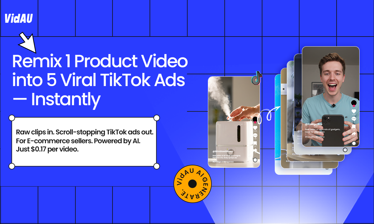 Vidau — screenshot 2 showing tool features and UI